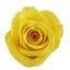 Forever Roses Preserved Flower Heads 6 Pieces DIY Gift Making Materials Wedding Centerpieces Flower Decorations Items
