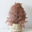 Genuine White Ferns Are Stably Preserved DIY Handicrafts Weddings Home Decorations Dried Flower Plants Mother's Day Graduation