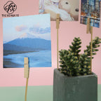 Clip insert photo clip, extended photo small clip, creative clip, photo home decoration, cartoon craft