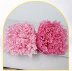 Eternal Flower 4-5cm A Grade Carnation Flower Head DIY Material 8 Packs Yunnan Wholesale Eternal Carnation Flower Head