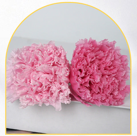 Eternal Flower 4-5cm A Grade Carnation Flower Head DIY Material 8 Packs Yunnan Wholesale Eternal Carnation Flower Head