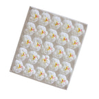 New Phalaenopsis Christmas Soap Flower Orchid Soap Flower Gift Box Bouquet Making Decoration Flower Shop Spot