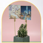 Clip insert photo clip, extended photo small clip, creative clip, photo home decoration, cartoon craft