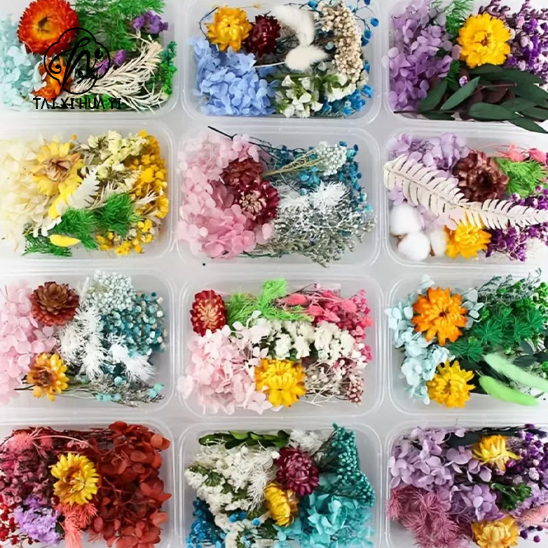 Wholesale Hot Sale Cross-border ETERNAL Dried Flower DIY Handmade Wedding Christmas Mother's Day Square Decoration Burnt Orange รูปสินค้ารอง