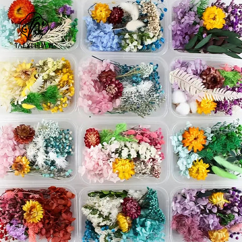 Wholesale Hot Sale Cross-border ETERNAL Dried Flower DIY Handmade Wedding Christmas Mother's Day Square Decoration Burnt Orange