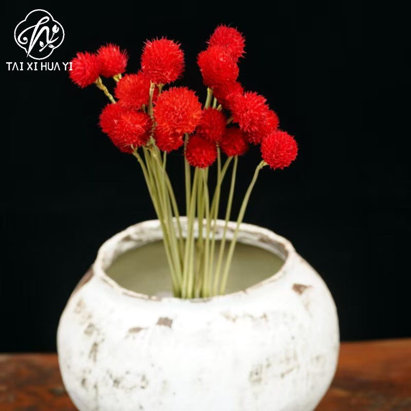 Thousand days red strawberry dried flower eternal flower bouquet packaging accessories home flower arrangement decoration flower shop package flower material