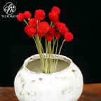 Thousand days red strawberry dried flower eternal flower bouquet packaging accessories home flower arrangement decoration flower shop package flower material