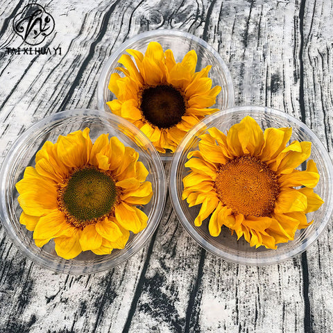 Eternal Sunflower Eternal Flower Sunflower Flower Head Material Keep Flower Sunflower Flower Head Spot Wholesale