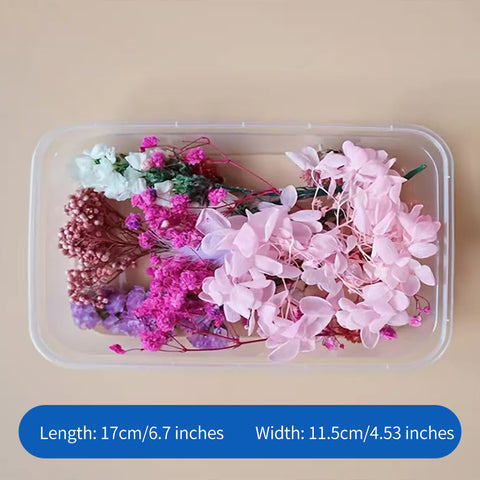 Wholesale Hot Sale Cross-border ETERNAL Dried Flower DIY Handmade Wedding Christmas Mother's Day Square Decoration Burnt Orange