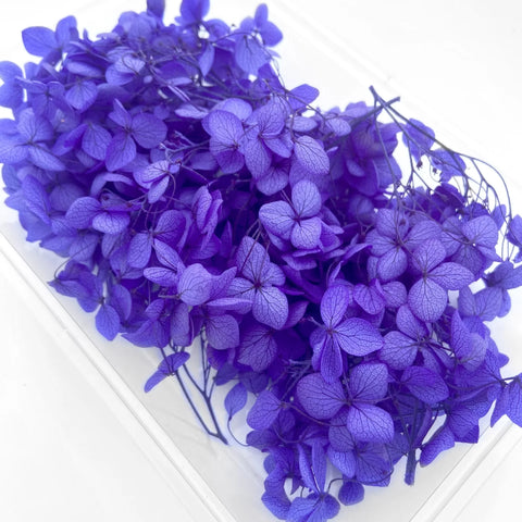 Handmade Preserved Flower Fan for Wedding DIY Wreath Mini Dried Flower Bouquet Artificial Hydrangea Dry Flowers Wall Backdrop