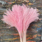 Best-Selling Bohemian Dried Pampas Reed Flowers Mother's Day Graduation Christmas Wedding Valentine's Day Home Decoration Fluffy