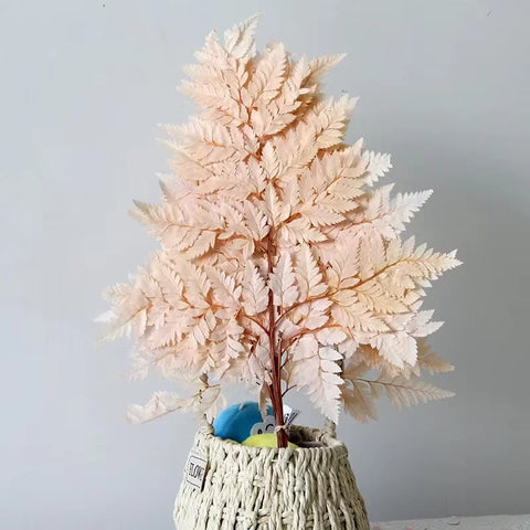 Genuine White Ferns Are Stably Preserved DIY Handicrafts Weddings Home Decorations Dried Flower Plants Mother's Day Graduation