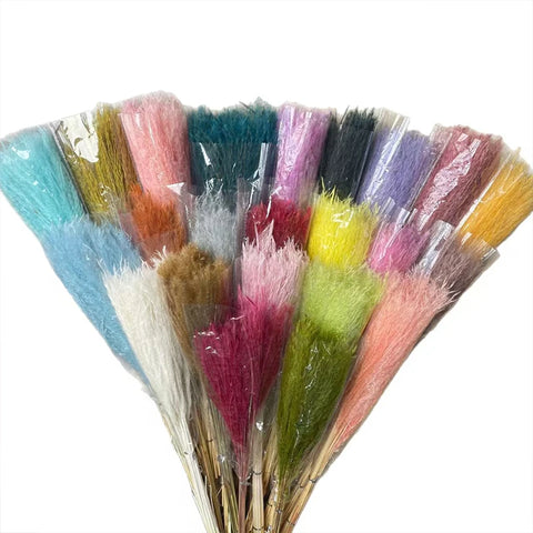 Best-Selling Bohemian Dried Pampas Reed Flowers Mother's Day Graduation Christmas Wedding Valentine's Day Home Decoration Fluffy
