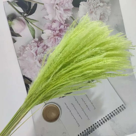 Best-Selling Bohemian Dried Pampas Reed Flowers Mother's Day Graduation Christmas Wedding Valentine's Day Home Decoration Fluffy