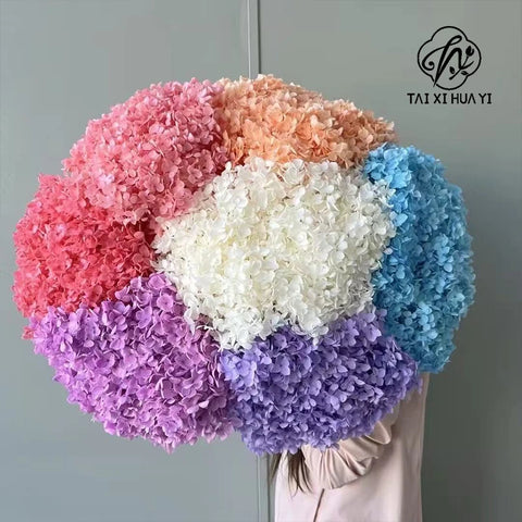 Anna Large Leaf Hydrangeas Preserved Bleached Color Single Bulk Dried Flowers & Plants Flower Wall Decor Father's Day