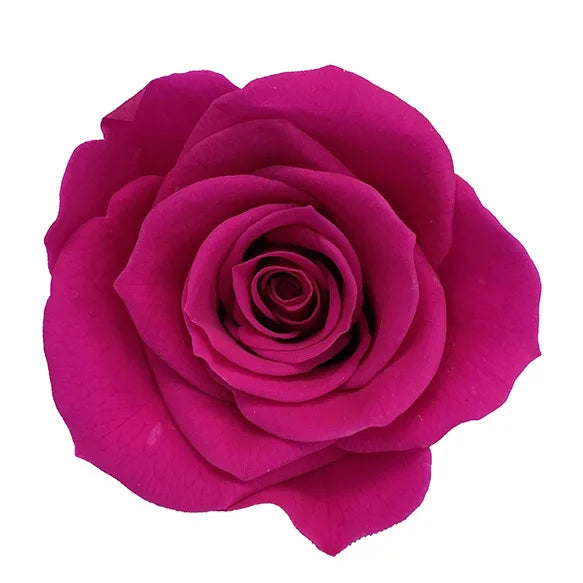 Forever Roses Preserved Flower Heads 6 Pieces DIY Gift Making Materials Wedding Centerpieces Flower Decorations Items