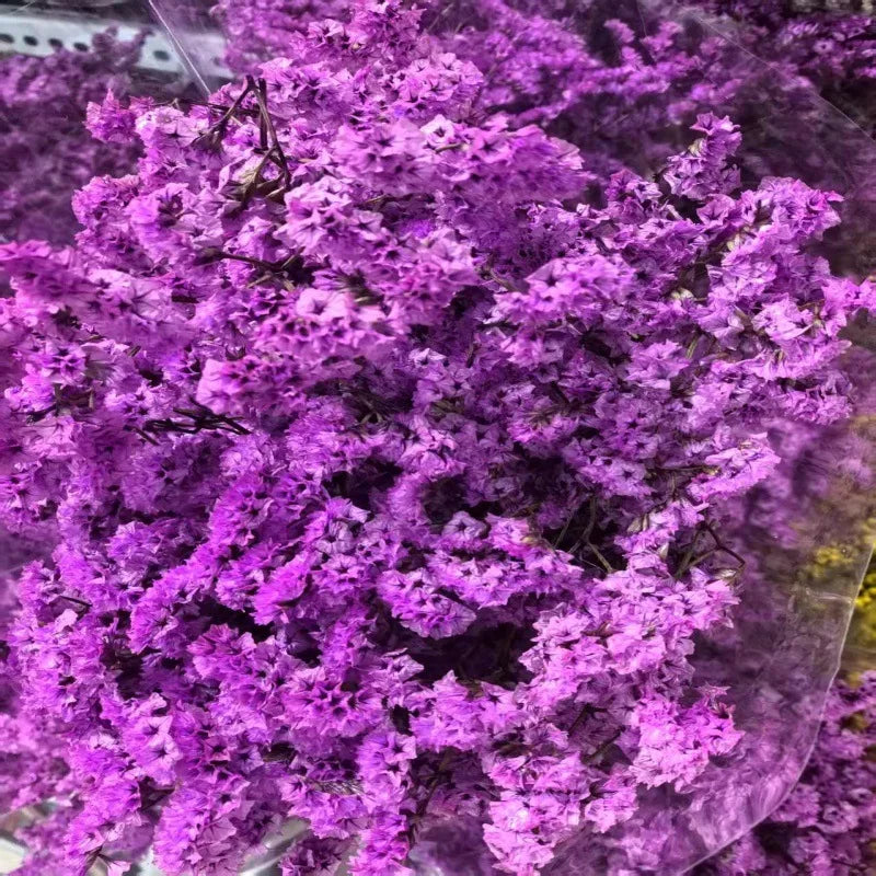 Preserved Crystal Grass Baby's Breath Dried Flowers for Home Arrangement & Wedding DIY Bouquet Baby Breath Flower Artificial