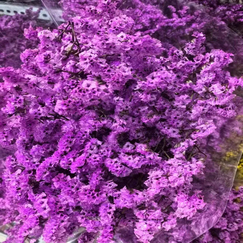 Preserved Crystal Grass Baby's Breath Dried Flowers for Home Arrangement & Wedding DIY Bouquet Baby Breath Flower Artificial