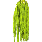 Preserved DIY Tassel Dried Decoration Flower Wall Backdrop White Artificial Flower Table Runners for Wedding Decor
