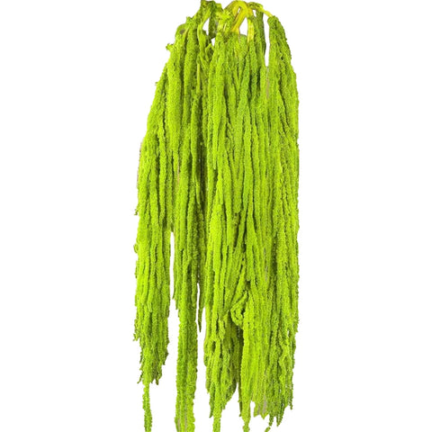 Preserved DIY Tassel Dried Decoration Flower Wall Backdrop White Artificial Flower Table Runners for Wedding Decor