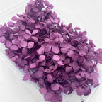 Handmade Preserved Flower Fan for Wedding DIY Wreath Mini Dried Flower Bouquet Artificial Hydrangea Dry Flowers Wall Backdrop
