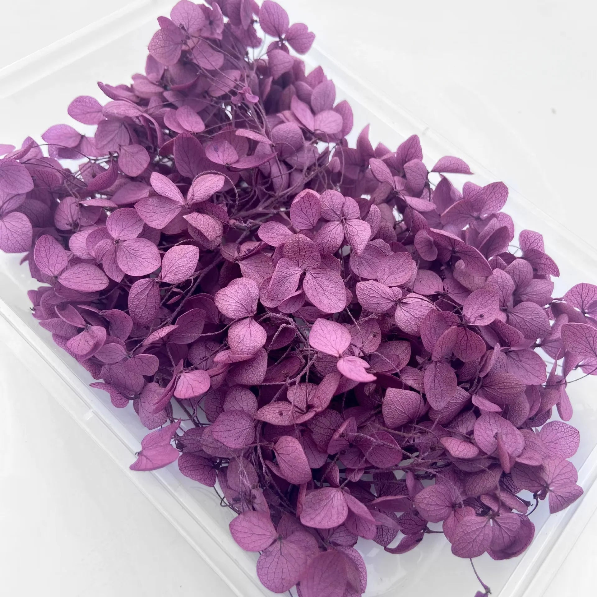 Handmade Preserved Flower Fan for Wedding DIY Wreath Mini Dried Flower Bouquet Artificial Hydrangea Dry Flowers Wall Backdrop
