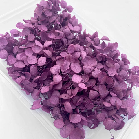Handmade Preserved Flower Fan for Wedding DIY Wreath Mini Dried Flower Bouquet Artificial Hydrangea Dry Flowers Wall Backdrop