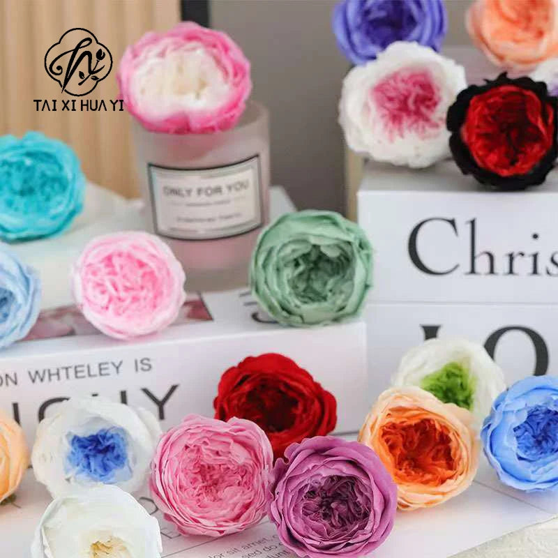 Grade Austin Rose Flower Head 4-5cm Preserved Real Flower 8-Pack Photography Props Wedding Mother's Day Christmas Gift Box รูปสินค้าหลัก