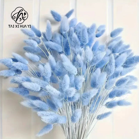 Halloween Decorative Flowers Rabbit Tail Grass & Immortal Flowers Dried Dog Tail Grass Shooting Props