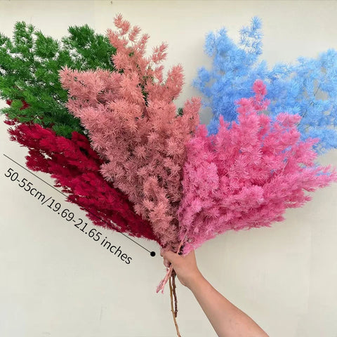 Wholesale DIY Preserved Pine Materials Cedar Preserved Flowers & Plants for Floral Ornaments Decoration Dried Flowers & Plants