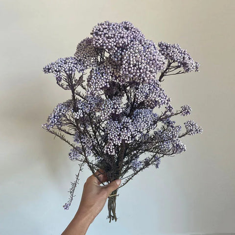 Preserved Rice Flower Dried Flower Aromatherapy Floating Flower Photography Props DIY Flower Wholesale Christmas Thanksgiving