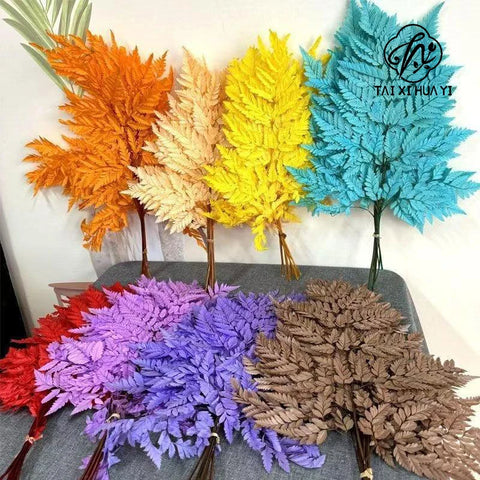 Genuine White Ferns Are Stably Preserved DIY Handicrafts Weddings Home Decorations Dried Flower Plants Mother's Day Graduation