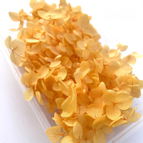 Handmade Preserved Flower Fan for Wedding DIY Wreath Mini Dried Flower Bouquet Artificial Hydrangea Dry Flowers Wall Backdrop