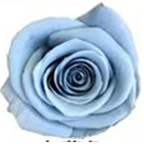 Forever Roses Preserved Flower Heads 6 Pieces DIY Gift Making Materials Wedding Centerpieces Flower Decorations Items