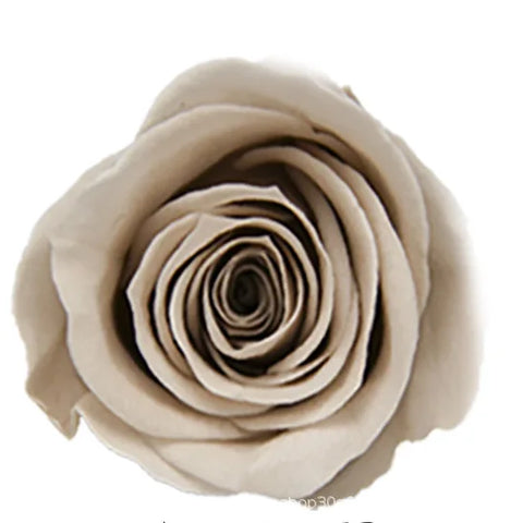 Forever Roses Preserved Flower Heads 6 Pieces DIY Gift Making Materials Wedding Centerpieces Flower Decorations Items