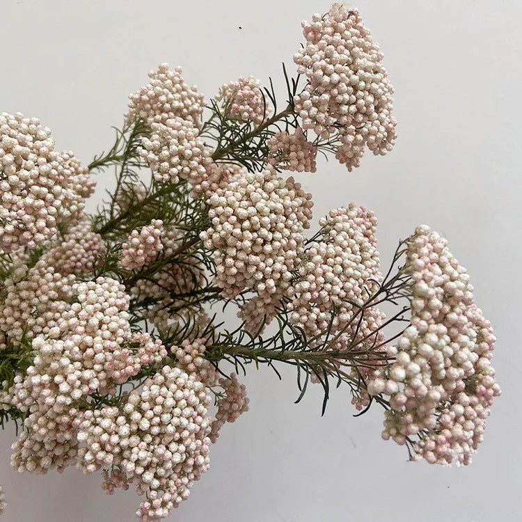 Preserved Rice Flower Dried Flower Aromatherapy Floating Flower Photography Props DIY Flower Wholesale Christmas Thanksgiving