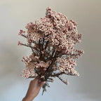 Preserved Rice Flower Dried Flower Aromatherapy Floating Flower Photography Props DIY Flower Wholesale Christmas Thanksgiving