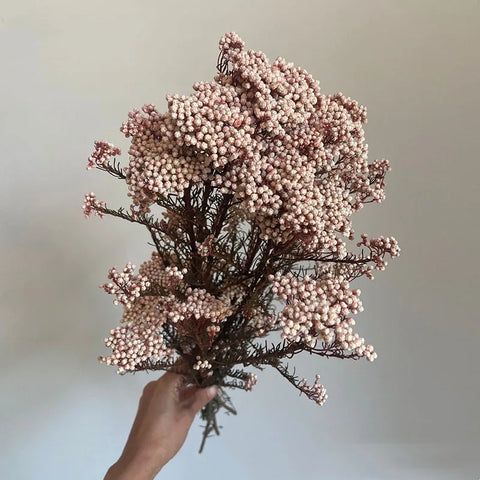 Preserved Rice Flower Dried Flower Aromatherapy Floating Flower Photography Props DIY Flower Wholesale Christmas Thanksgiving