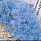 Wholesale DIY Preserved Pine Materials Cedar Preserved Flowers & Plants for Floral Ornaments Decoration Dried Flowers & Plants
