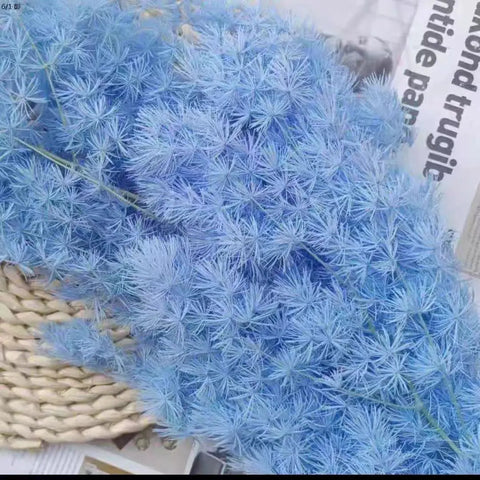 Wholesale DIY Preserved Pine Materials Cedar Preserved Flowers & Plants for Floral Ornaments Decoration Dried Flowers & Plants