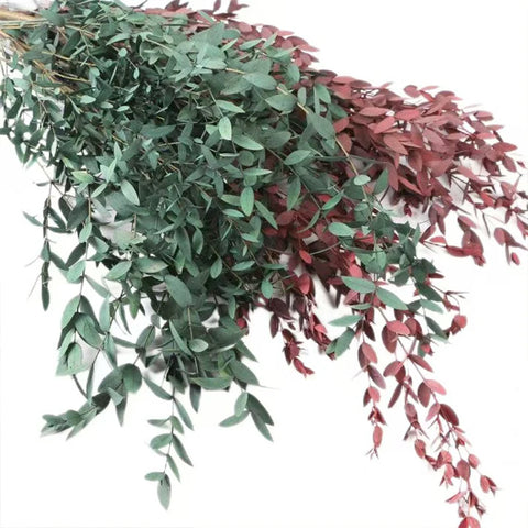 Fine-leaf Preserved Eucalyptus Leaf Dried Flower Bouquet Wreath DIY Material Wedding Decoration