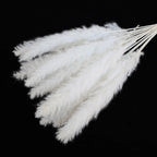 Reeds Dried Pampas Grass Artificial Flowers Bouquet Various Colors Home Boho Wedding Decoration Arrangement 3d White Flower Wall