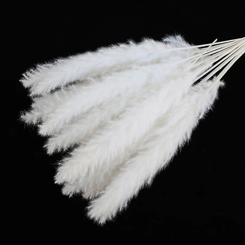 Reeds Dried Pampas Grass Artificial Flowers Bouquet Various Colors Home Boho Wedding Decoration Arrangement 3d White Flower Wall