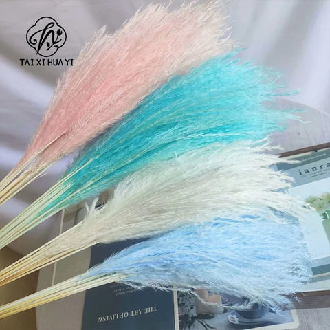 Best-Selling Bohemian Dried Pampas Reed Flowers Mother's Day Graduation Christmas Wedding Valentine's Day Home Decoration Fluffy