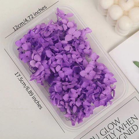 Handmade Preserved Flower Fan for Wedding DIY Wreath Mini Dried Flower Bouquet Artificial Hydrangea Dry Flowers Wall Backdrop