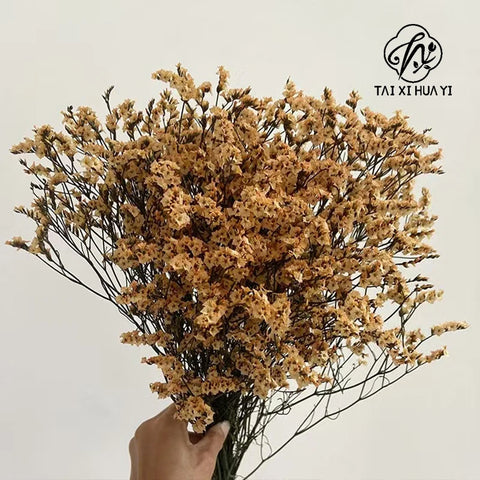 Preserved Crystal Grass Baby's Breath Dried Flowers for Home Arrangement & Wedding DIY Bouquet Baby Breath Flower Artificial