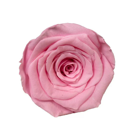 Hot Selling DIY Handmade Preserved Roses Realistic Dried Flower Gift Box Materials for Mother's Day Wedding Valentine's Day Gift