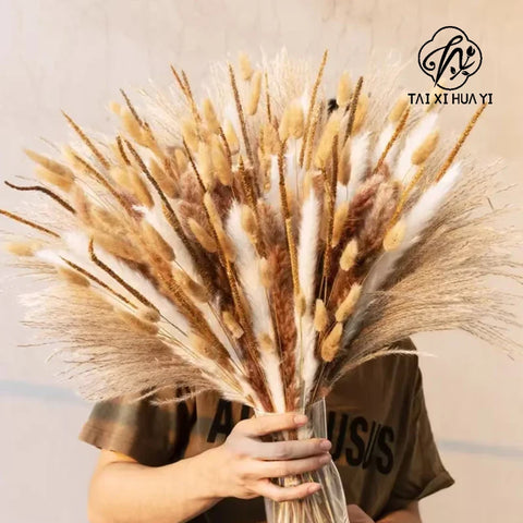 Halloween Decorative Flowers Rabbit Tail Grass & Immortal Flowers Dried Dog Tail Grass Shooting Props