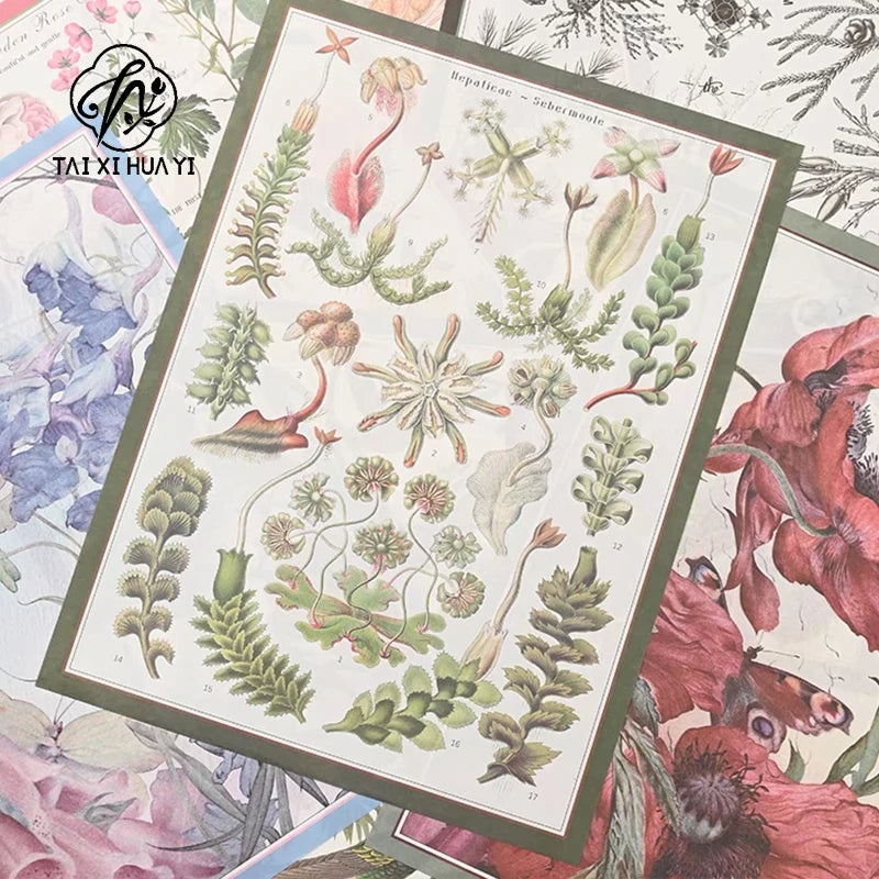 High Quality Thick Waterproof Glassine Wrapping Paper 42*55cm Antistatic Eco-friendly Recyclable Gravure Main image