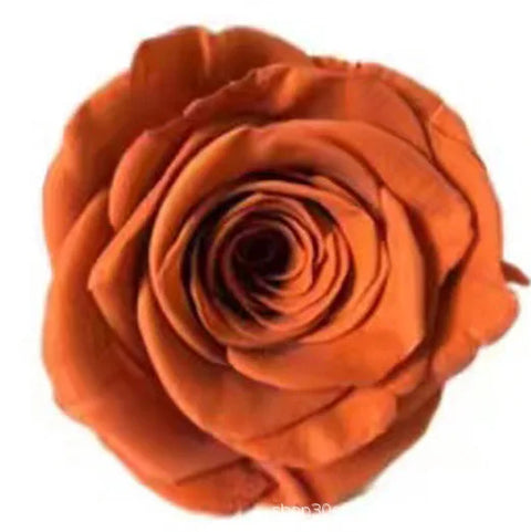Forever Roses Preserved Flower Heads 6 Pieces DIY Gift Making Materials Wedding Centerpieces Flower Decorations Items